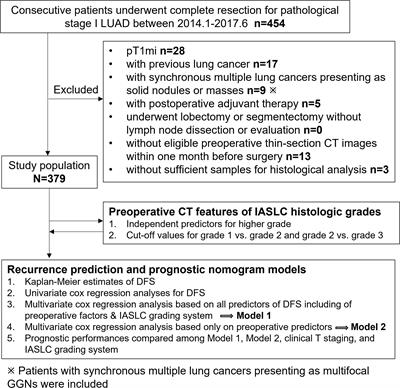 Preoperative prognostic prediction for stage I lung adenocarcinomas: Impact of the computed tomography features associated with the new histological grading system